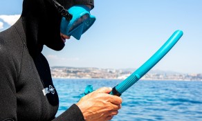 Snorkel