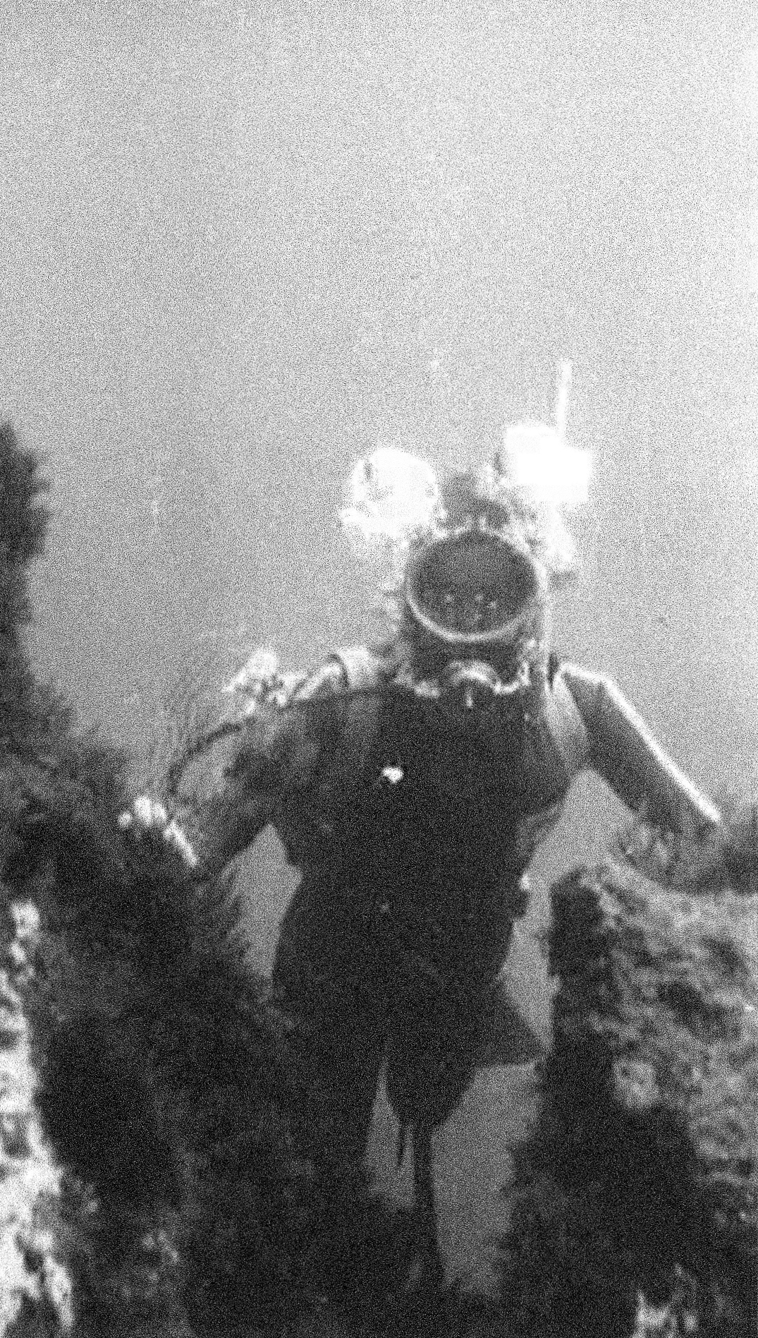 Creazione della marca Beuchat a Marsiglia