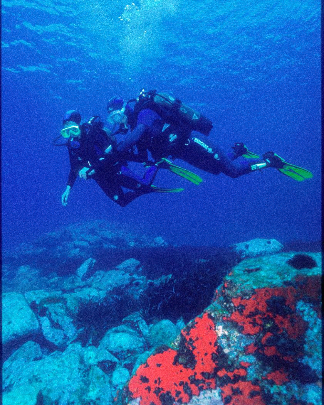 Prima versione della Focea Comfort