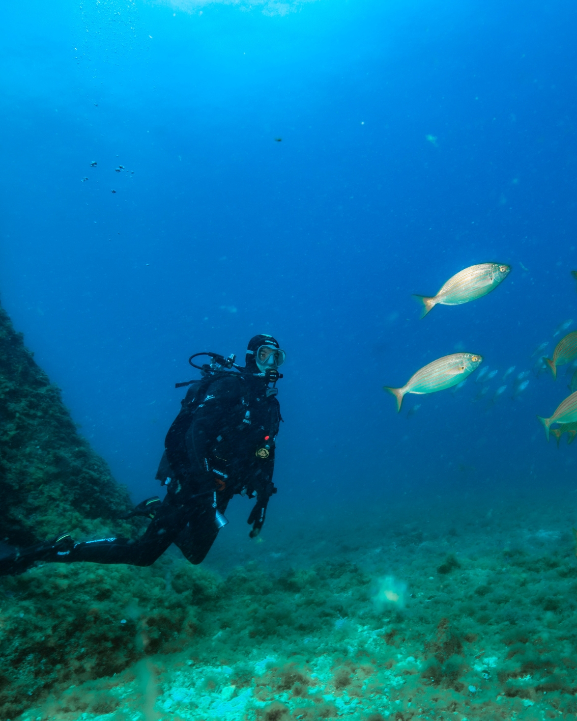 Neoprene a base di calcare