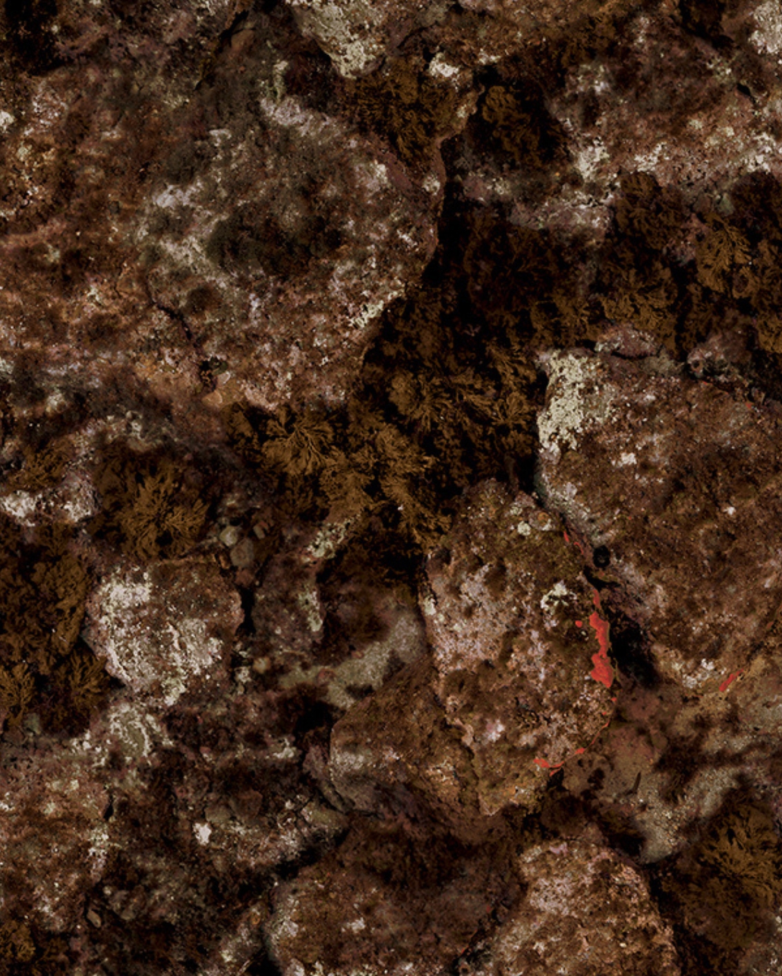 Invenzione del mimetismo Trigocamo Wide