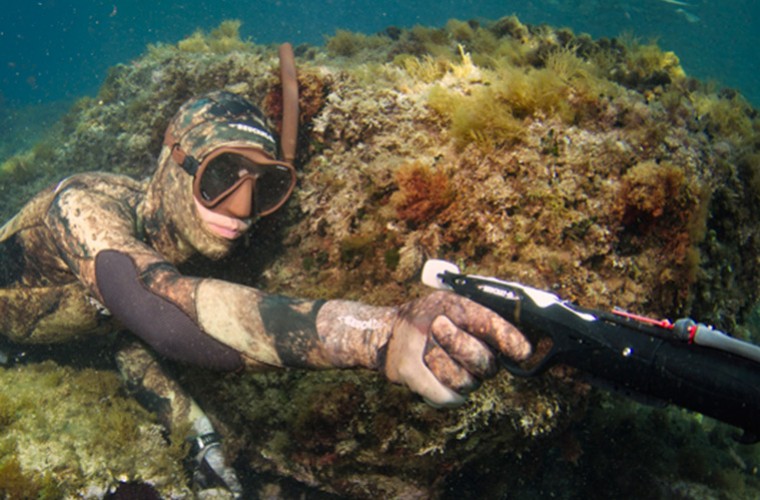 Begin spearfishing