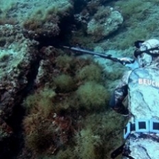 TEMOIGNAGE : Marlin Evil @FlorentGéraud