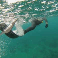 Tuto Palmage @ValentinGalliero