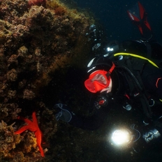 Choisir un masque et un tuba de plongée sous-marine