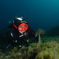Choisir un détendeur de plongée