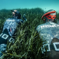 Choisir un lestage pour l’apnée et la chasse sous-marine