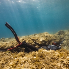 A chaque technique de chasse sous-marine son arbalète !