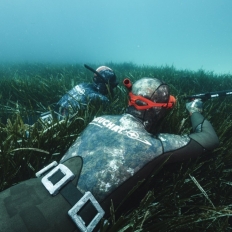 Débuter la chasse sous-marine : comment s’y prendre ? 