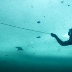 Fausto Firreri: il nuovo record mondiale paralimpico in apnea lineare estrema