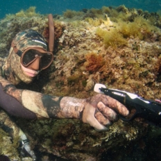 Begin spearfishing