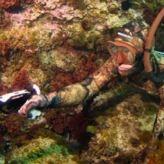 Trigocamo Revolution