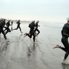 2017, un anno sportivo